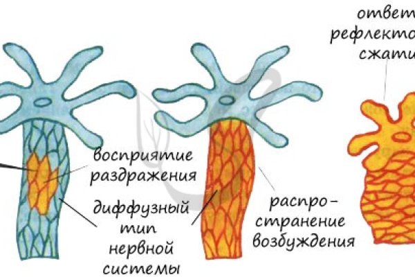 Сайт omg onion